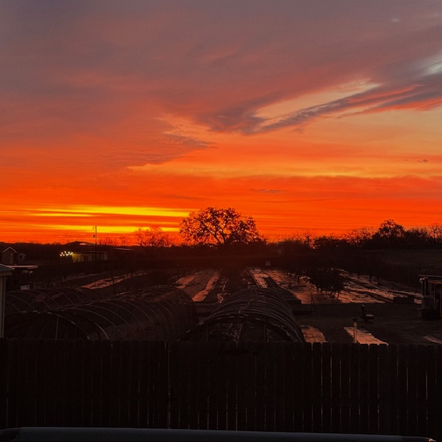 What a spectacular sunrise this morning! Wow! Looks like fire in the sky. What a spectacular sunrise this morning! Wow! Looks like fire in the sky.