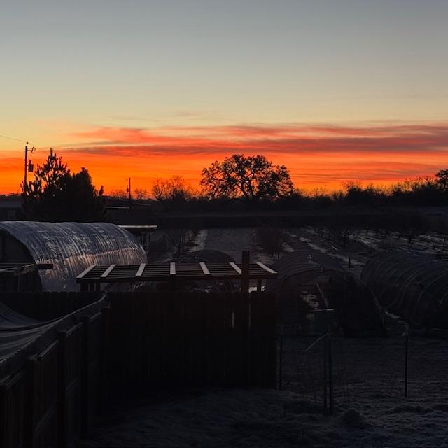 The sun just came up and it is 18°. What is this world coming to?