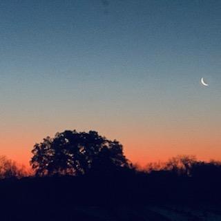 Dawn was beautiful this morning with all of the pink plus a crescent moon. Is there any garden work on your spring planting schedule today?