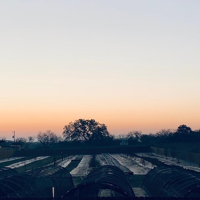 After a week of overcast skies, there was some sunrise color and now we have sunshine and bright blue skies! After a week of overcast skies, there was some sunrise color and now we have sunshine and bright blue skies!