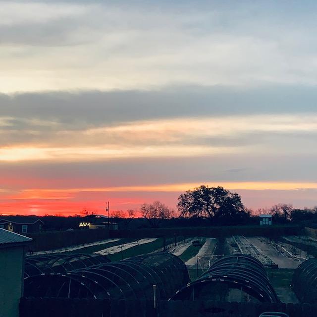 Look at this spectacular pink sunrise! Isn't it gorgeous?