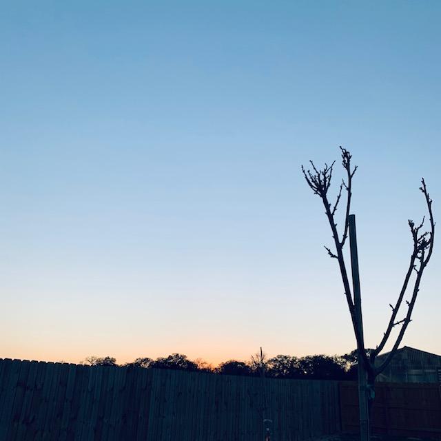 It is spring planting season but we have to wait for this weekend's freezing temps before we can plant outside.