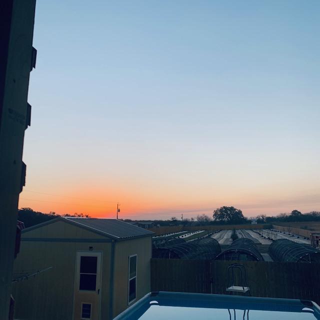 Look at that gorgeous color this morning at sunrise. Looks like spring planting season is just about here but wait, it is 39° Fahrenheit.