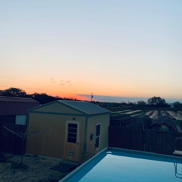 Sunrise on this chilly, windy morning was very pink.