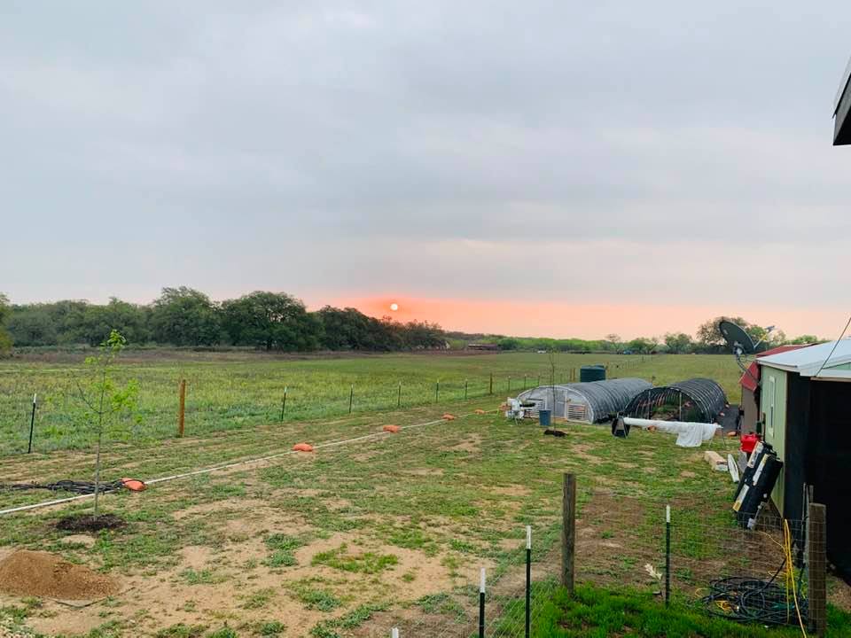 Good Sunday morning from the farm yard!