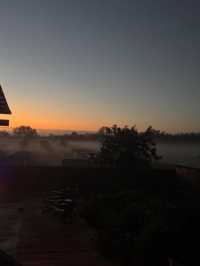 Bands of fog in the orchard and field.
