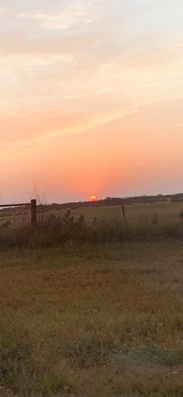 Look at this gorgeous sun coming up today! Isn't it awesome?