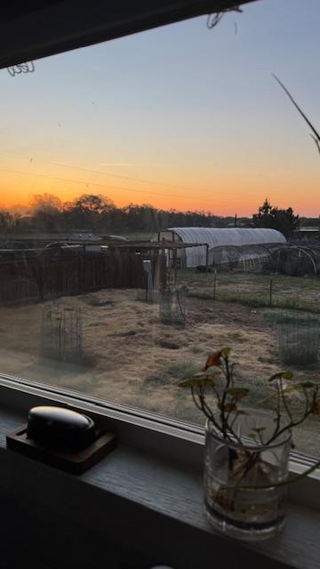 Here comes the sun. You can see my sweet potato slips on the windowsill. I need to plant them.