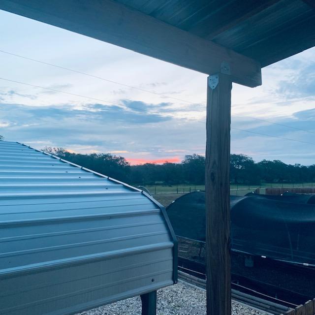 Here comes the sun! Taken from our side porch by the driveway.
