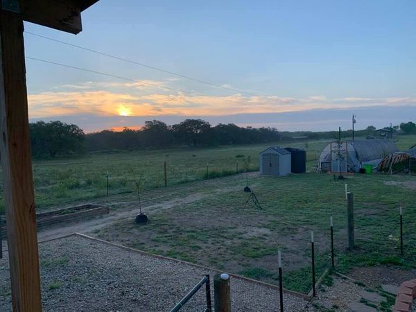 We have the prettiest sunrises out here on the farm. Sunsets aren't bad either!