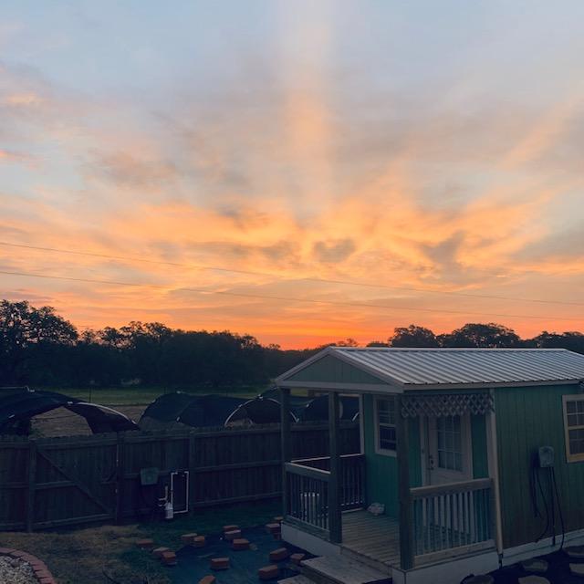 Sunrise this morning from our back deck. I got out early and fed and watered everyone. The humidity was high that early.