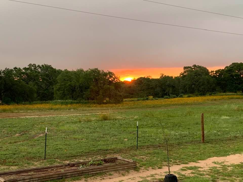 The sunrise was spectacular again this morning, even with cloudy, grey skies. I love sunrises out here on the farm. The sunrise was spectacular again this morning, even with cloudy, grey skies. I love sunrises out here on the farm.