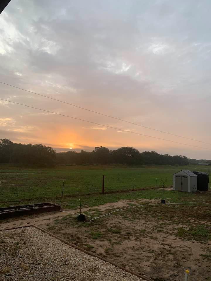 The sun showed itself early this morning and then hid once again under rain clouds but it was glorious for a little while.