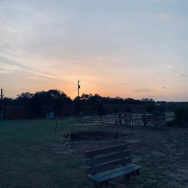 Here is another beautiful sunrise taken near the chicken coop while I am trying to get the animals fed.