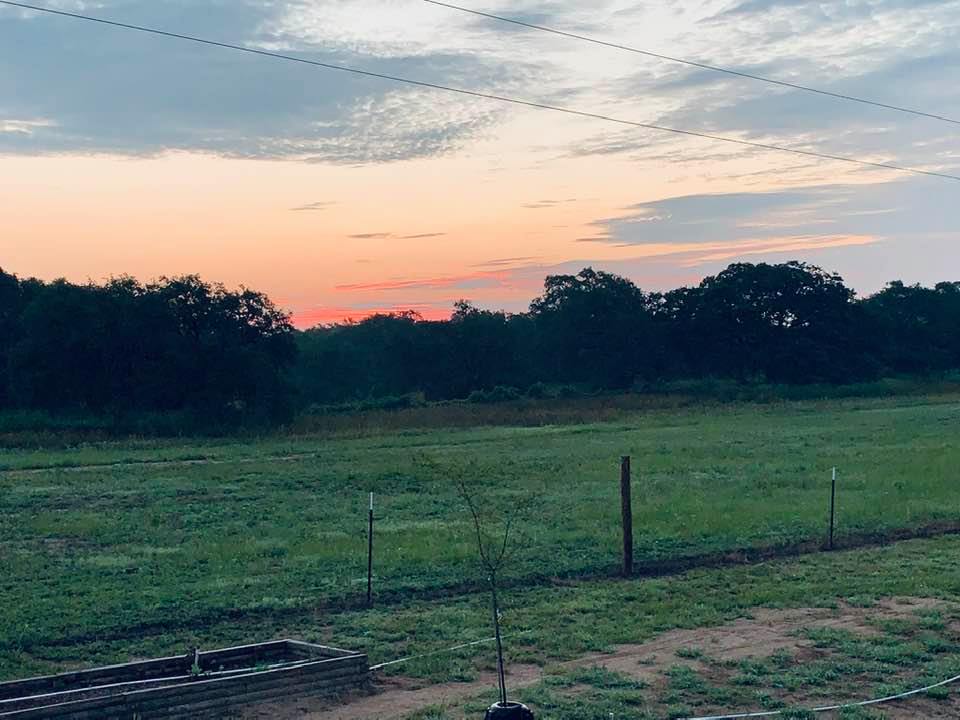 Good morning! Let's make it a golden day.