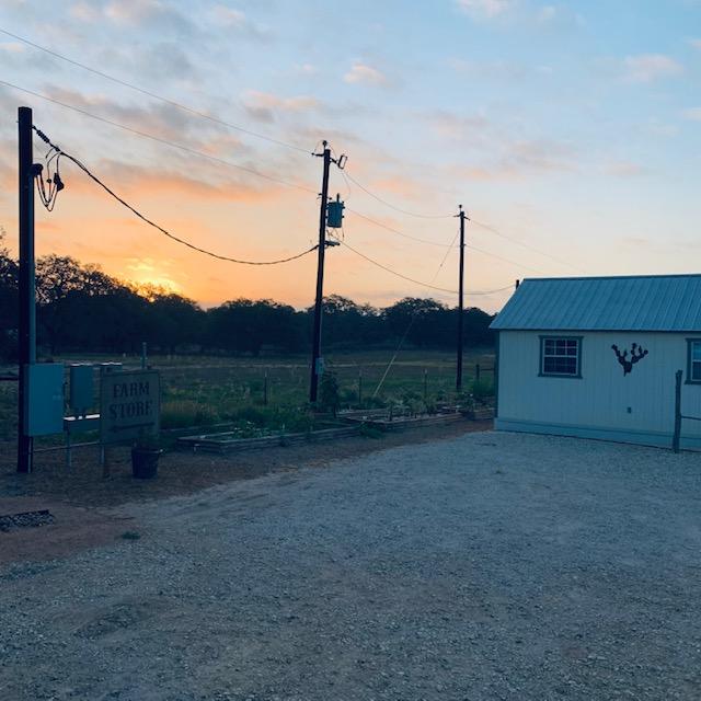 It was quite the sunrise this morning while I was feeding the fish.