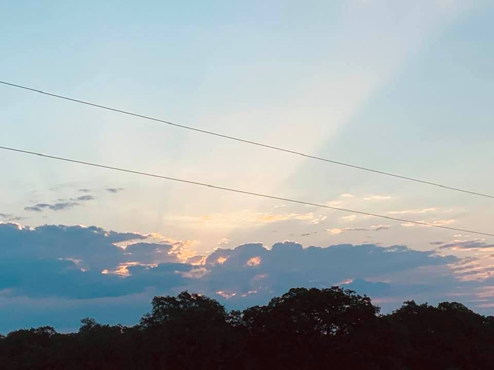 I love this pink and blue sunrise this morning. It is gorgeous except for the electrical wires, a typical example of farm and business life. You have to have electricity.
