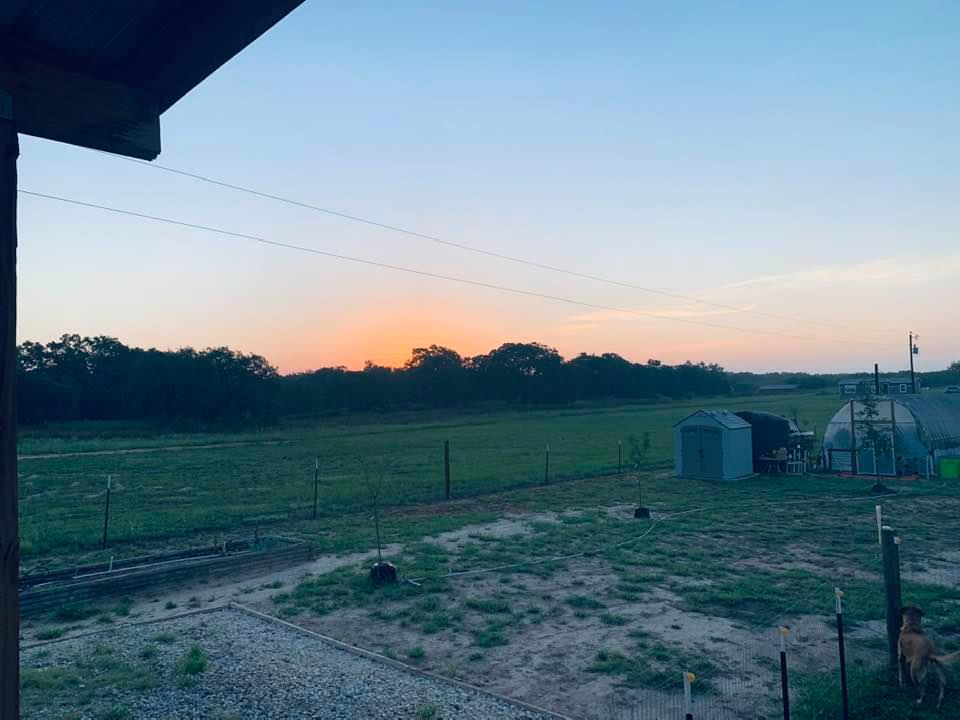 Sunrise this morning was beautiful!