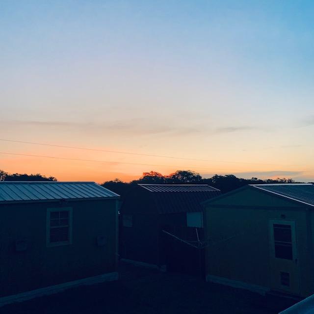 Happy Sunday. It was a good day to do August garden chores due to the lower temps but we did not do any. We are still recovering.