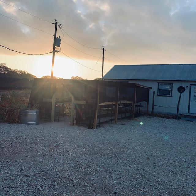 The plant area in front of the Farm Store was graced by the sunrise this morning. I was out here feeding my fish.