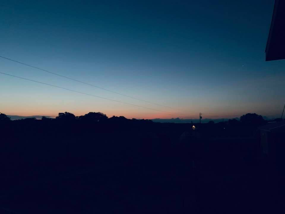 It was beautiful this morning when I let the dogs out. I was out there a little while later to feed the fish, chickens, guineas, and rabbits. Don't you love that subtle pink glow?