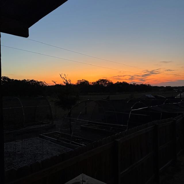 It's been a long time since I've put up a sunrise photo. I took this as I let the dogs out to go potty this morning.