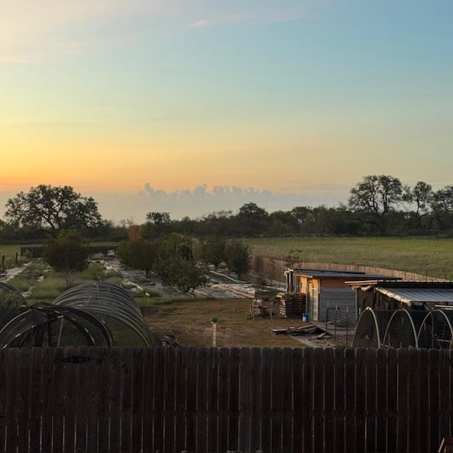 Here is what it looked like at sunrise in our backyard this morning. Note the fake rain clouds forming in the eastern sky.