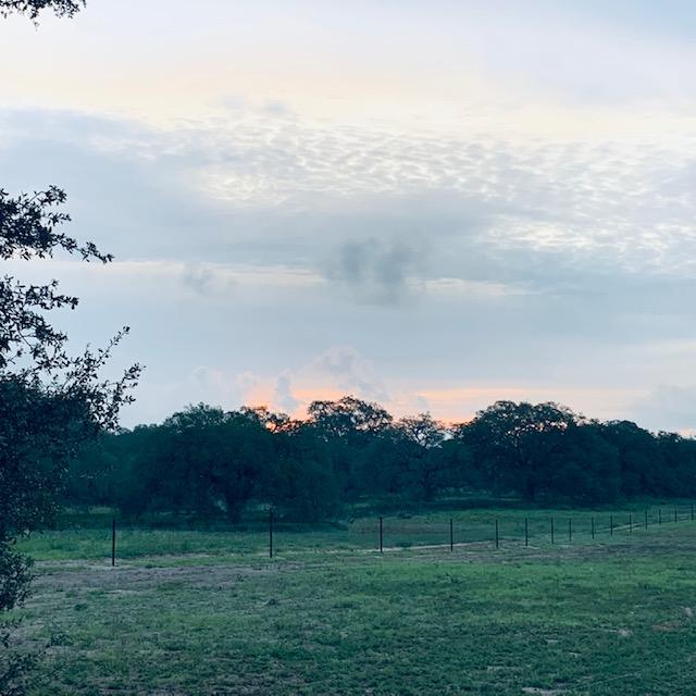 Sunrises are beautiful out here on the farm.