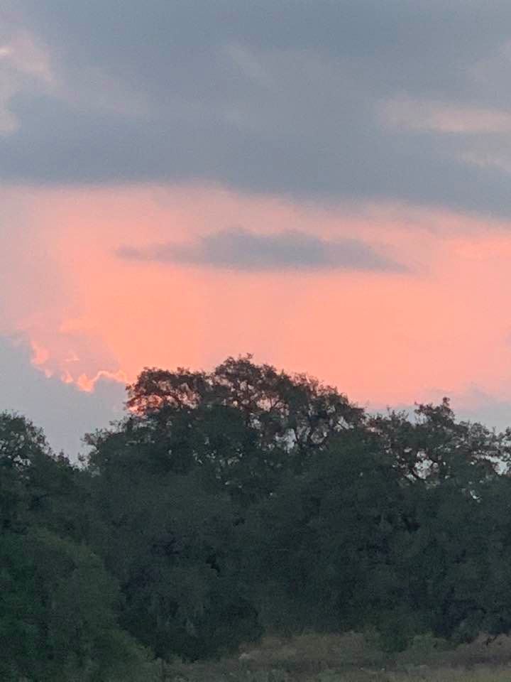 Beautiful pink sky this morning. This photo was shot by Matthew.