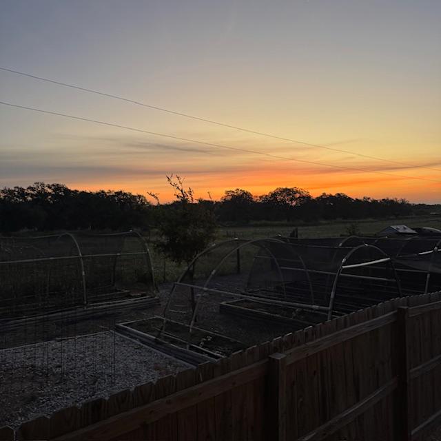 This is how it looked as I let the dogs out early this morning. The neighbor dog was out so they were barking back and forth at each other.