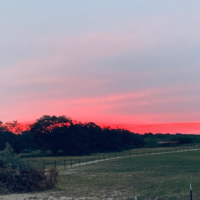 The gorgeous colors that we get on most mornings out here on the farm are a great motivator for getting up early.