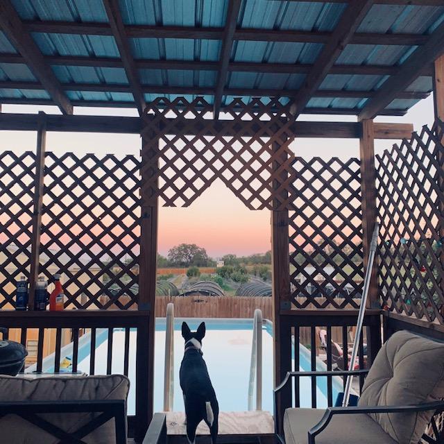 Watching a beautiful sunrise with Sue Ellen from the back deck.