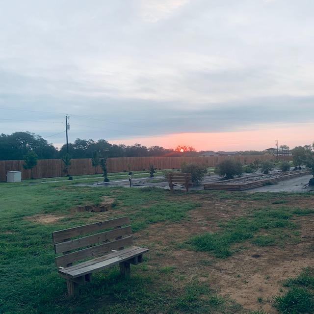 Here is a long shot of the fireball coming up from the porch of the feed shed. You can see part of our orchard. Everything is green since the recent rains we have had.