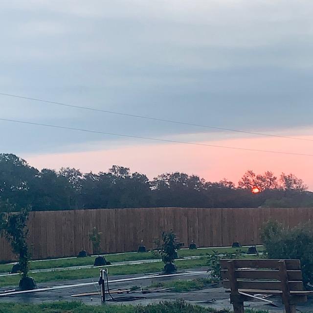 Another September day, great for getting your September garden chores done!