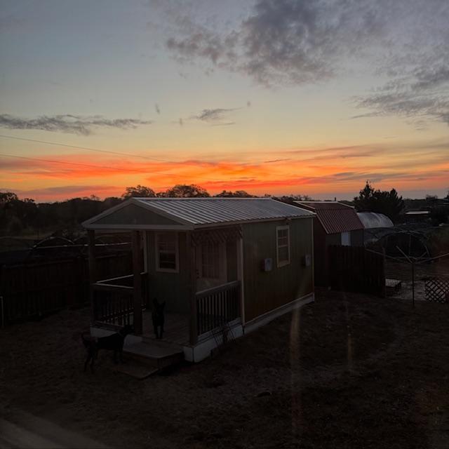Sunrise behind the green shed that might get moved today. Update: It did not get moved after all.
