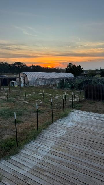 Sunrise over our farm this morning. I took this from the backporch.