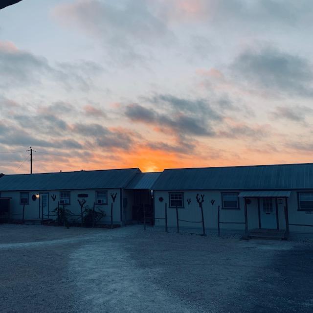 Happy Saturday! The sun rises over David's Garden Seeds®. What cucurbit plants do you have growing?