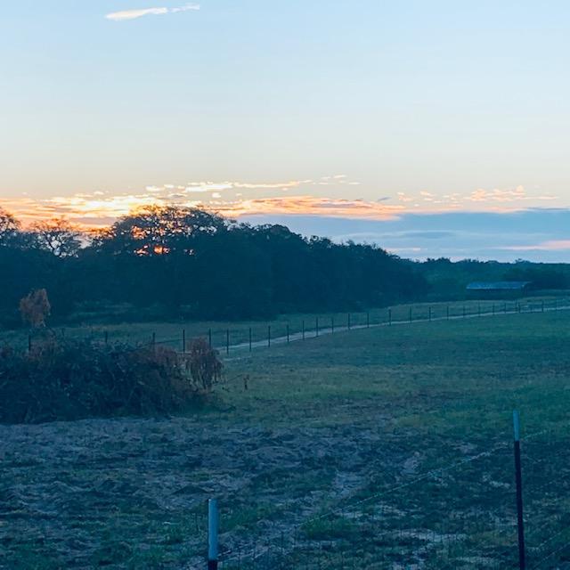 Here comes the sun. This was taken while I was out front feeding the fish this morning.