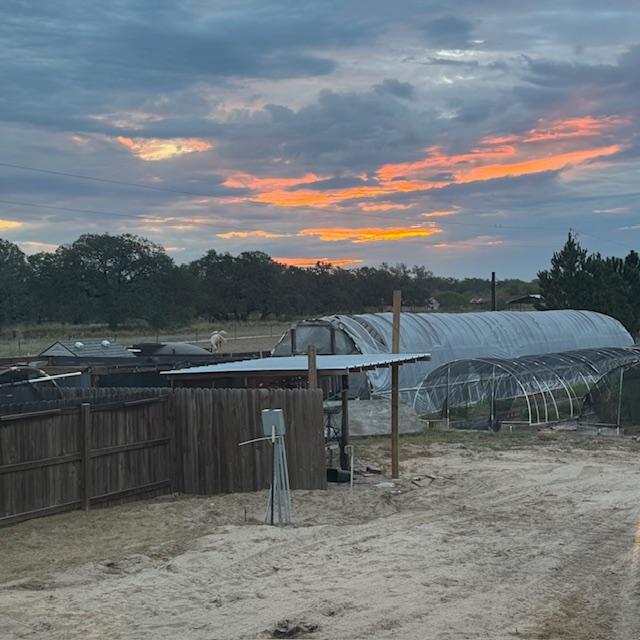 Here is our sunrise this morning. You can see the space where the sheds were and where the fence needs to go to keep the dogs in their space.