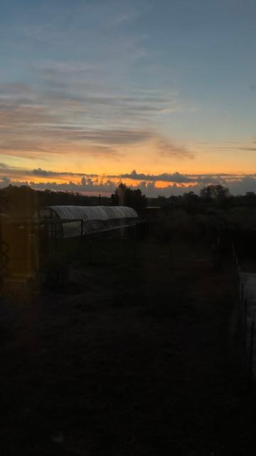 Early sunrise this morning from the kitchen window...