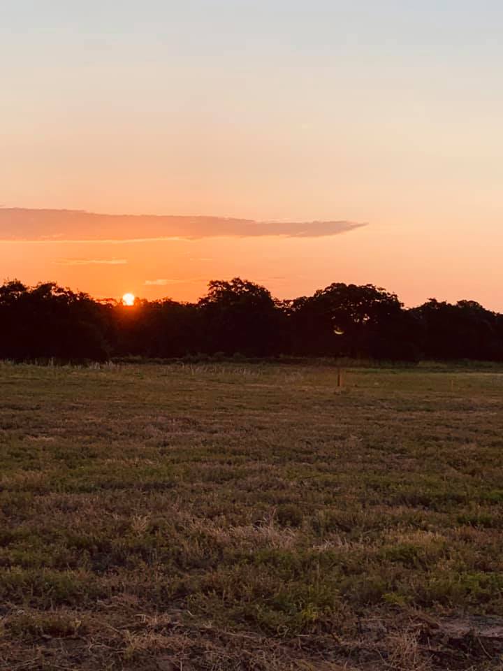 My first sunrise on the farm. It was glorious. No filter was used on this photo.
