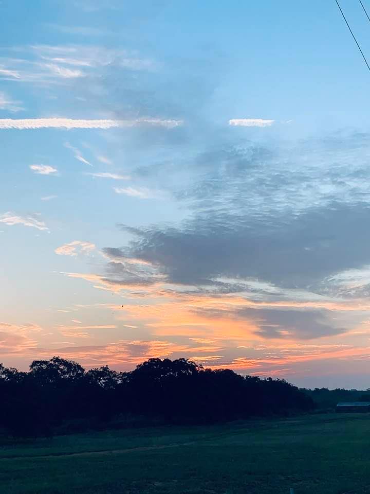 Happy Sunday sunrise! I took this while out front feeding the fish.