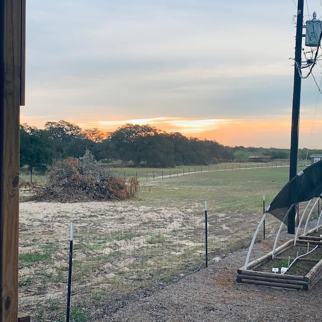 Sunrise this morning from the gazebo while I was feeding the fish.