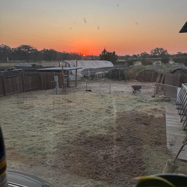 The sun is coming up and here is the dog yard with the new see through fence so they can see more of what is going on out back.