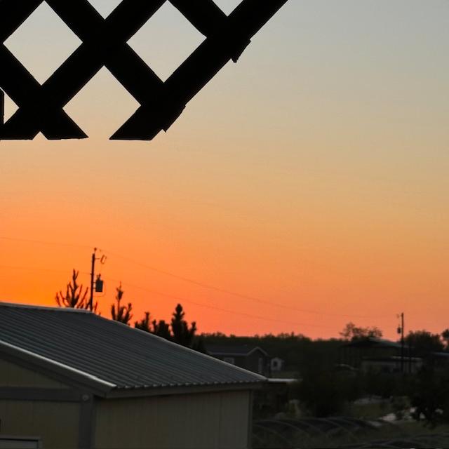 Look at that gorgeous pink this morning while I was out feeding the animals!