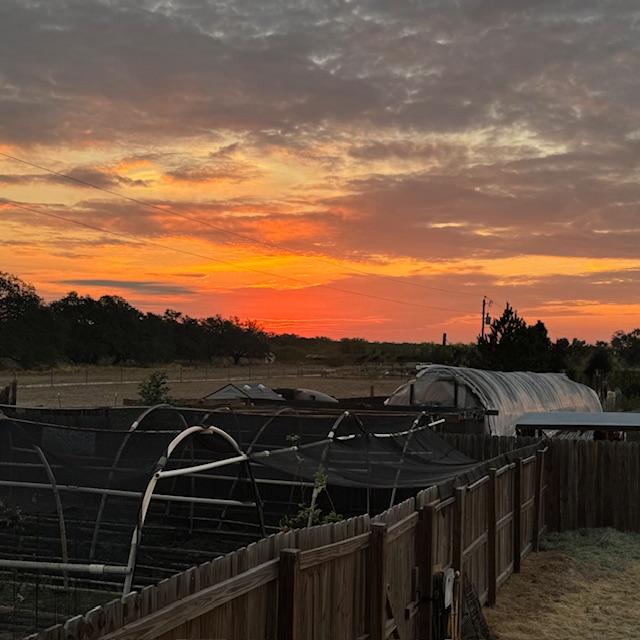 Sunrise was beautiful this morning.