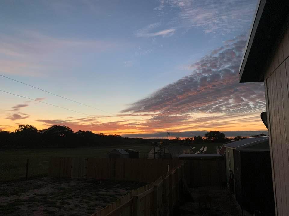 Dawn on the farm. Isn't it gorgeous? Seeds for sale, happy animals, life is great in cool weather on our beautiful farm.