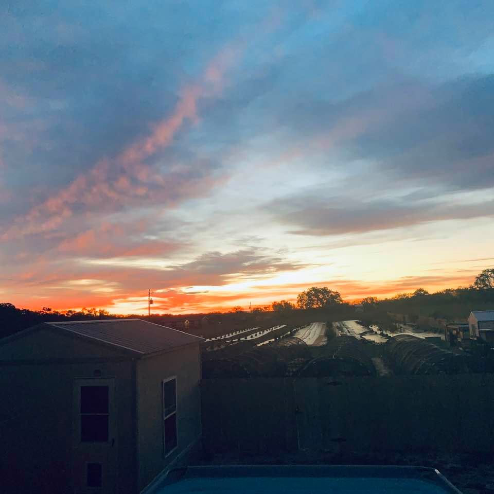 Twilight shows some pink in the sky while the farm is still dark.