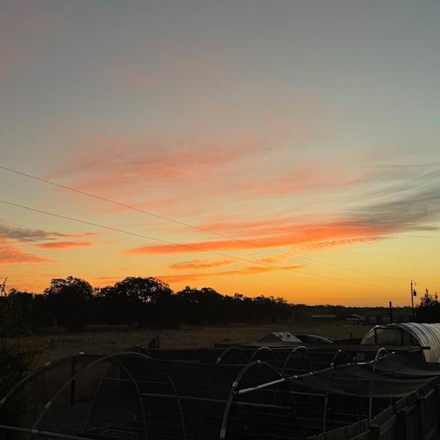 The sky was so pretty this morning at dawn.