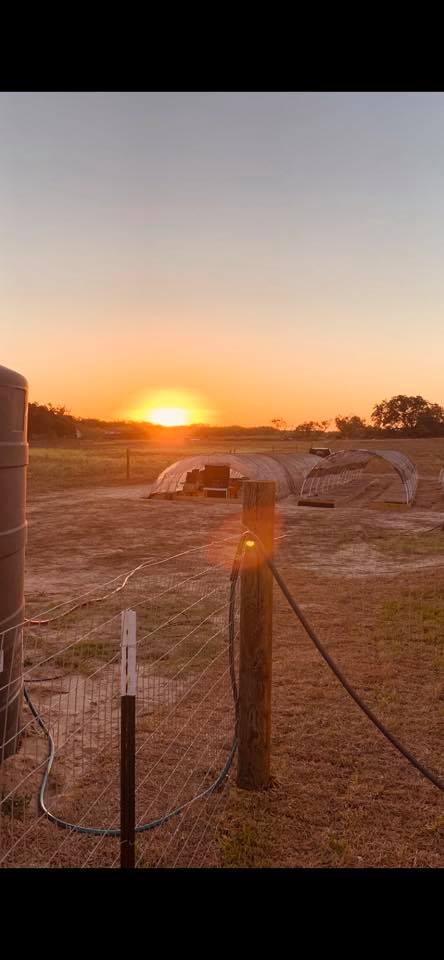 Good Sunday morning!